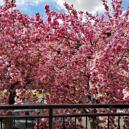 شقة Marcipan Hévíz