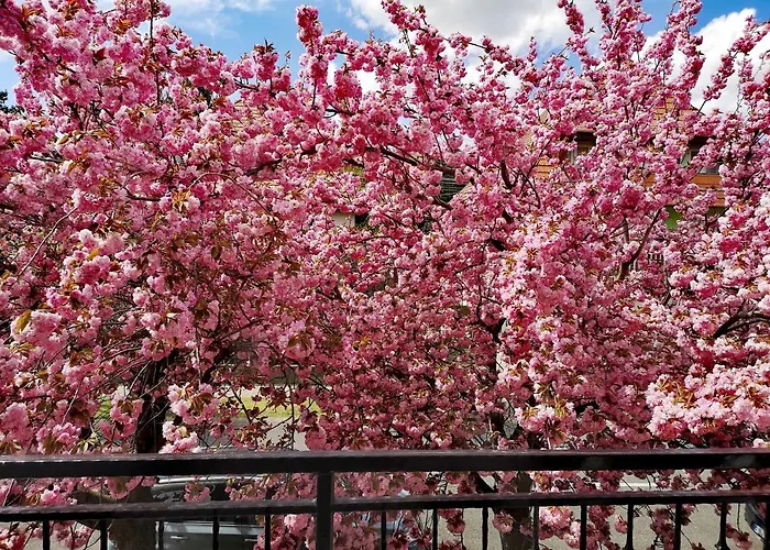 アパート Marcipan ヘーヴィーズ