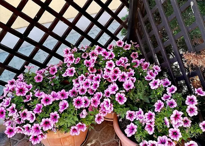 Marcipan アパート *